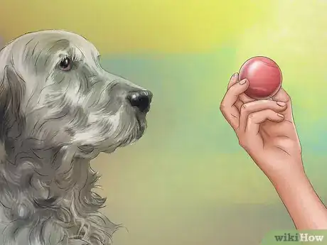 Image titled Teach Your Dog "On By" Step 6